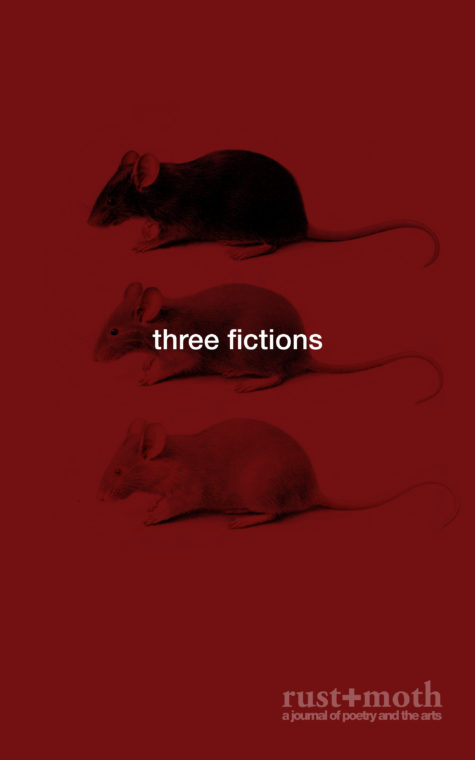 Three Fictions Cover