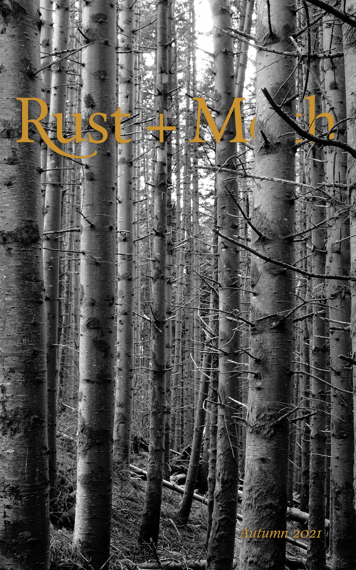 Rust and Moth Autumn 2021 Cover