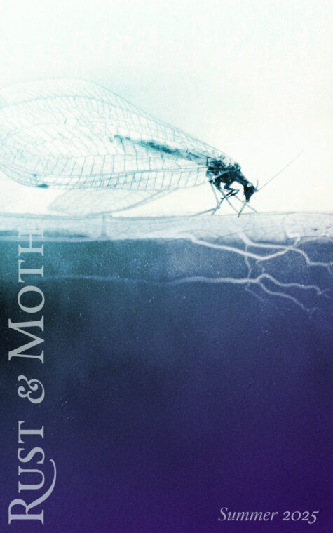 Rust & Moth Summer 2025 | A Mosquito at the Vein